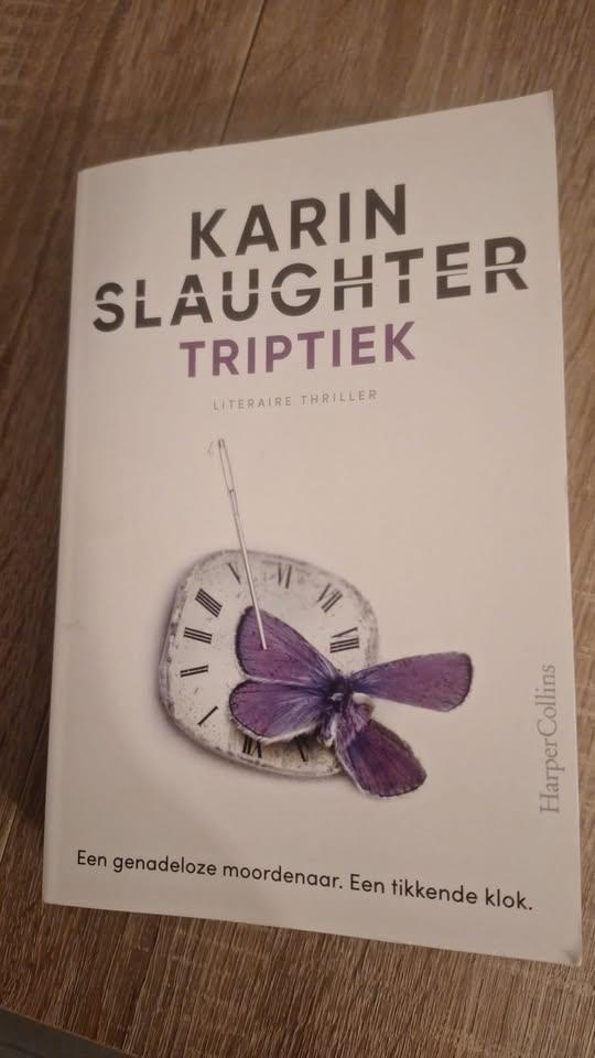 Boek Triptiek - Karin Slaughter, Livres, Thrillers, Enlèvement ou Envoi, Neuf, Karin Slaughter
