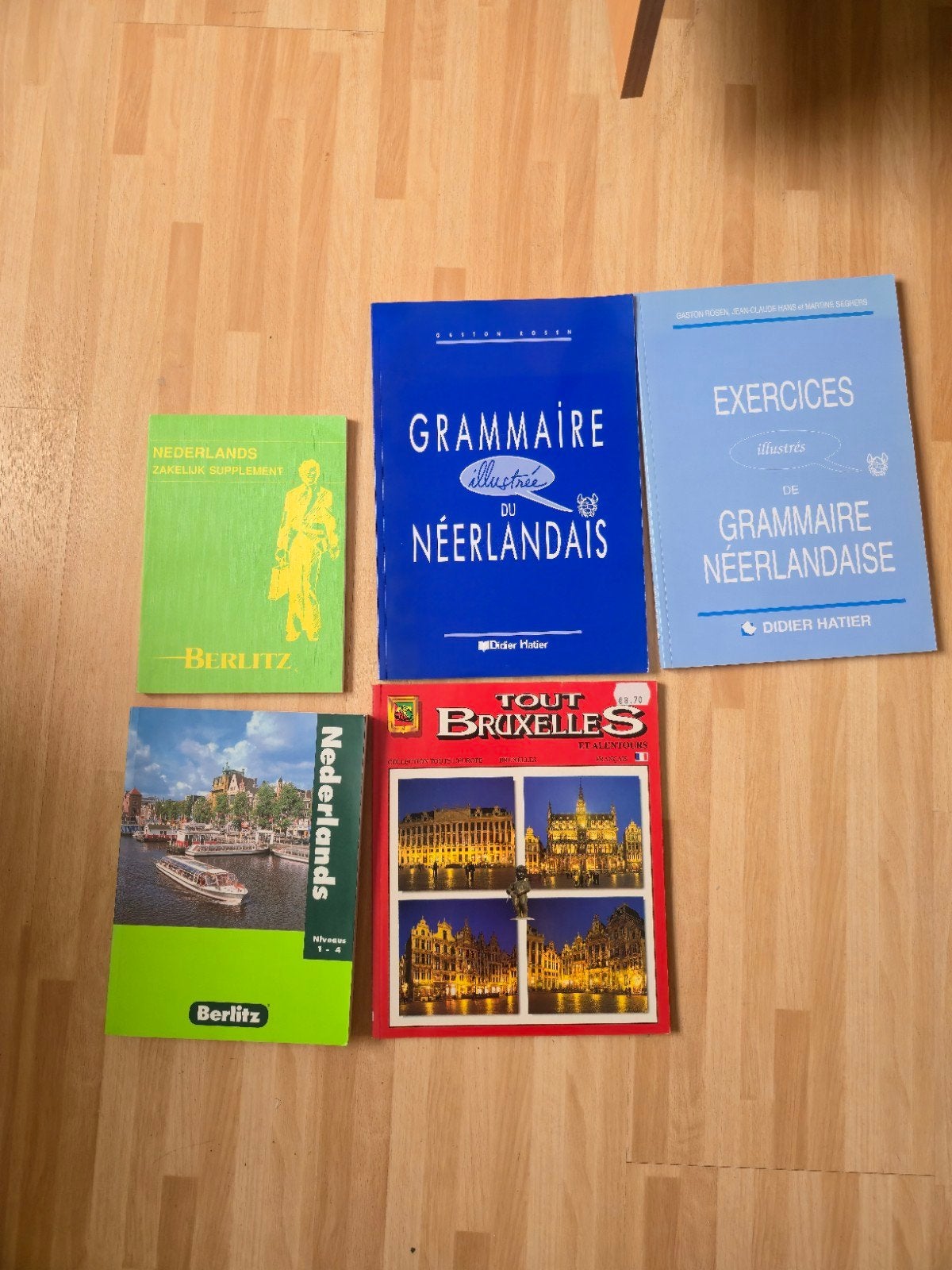 Lot 5 livres : Grammaire de Néerlandais (Berlitz, Didier Hat, Livres, Enlèvement, Comme neuf, Général