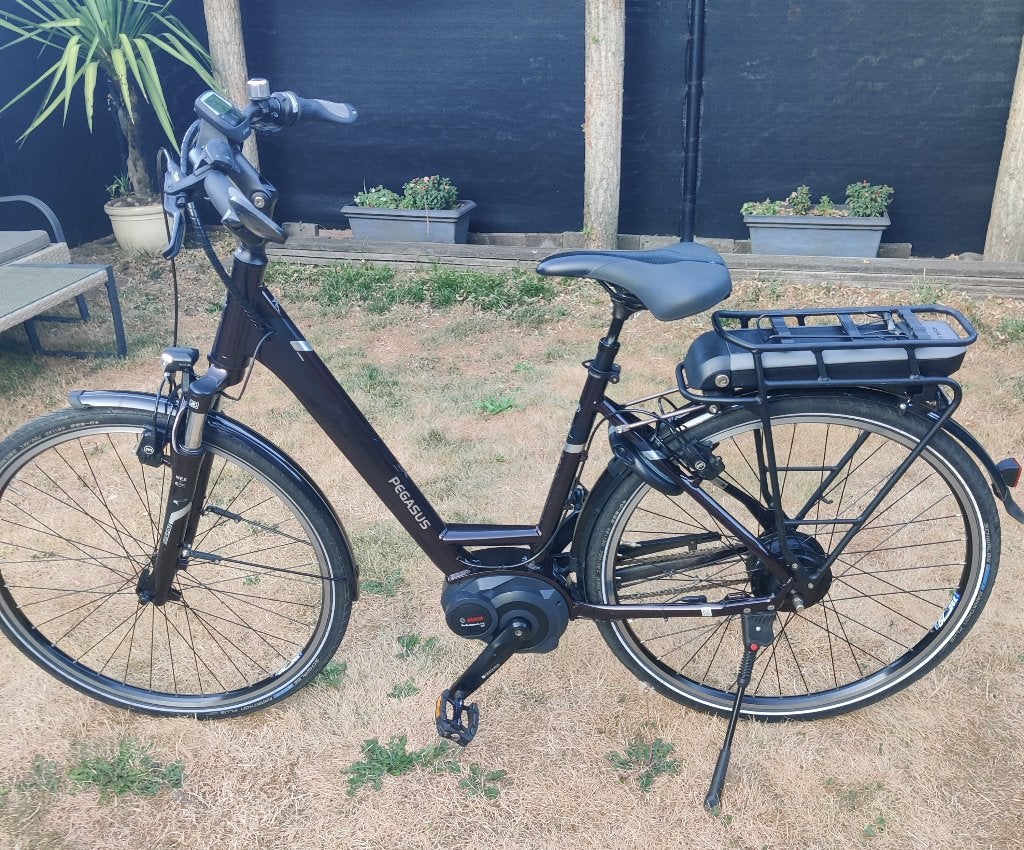 E-Bike Pegasus, 47 à 51 cm, Enlèvement, Comme neuf, Autres marques