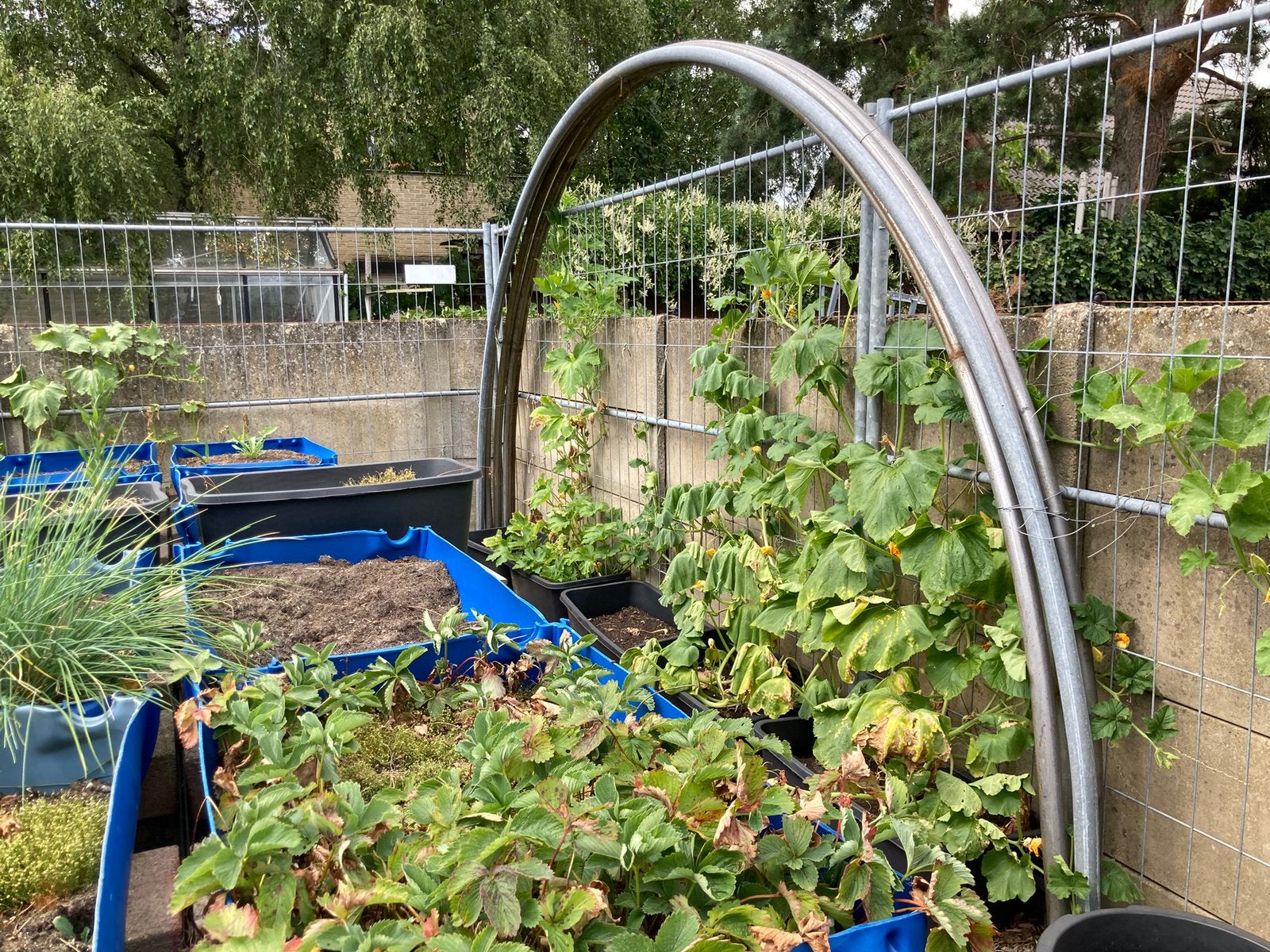 4 serre bogen, Tuin en Terras, Ophalen, Gebruikt, Staal, Kweekkas