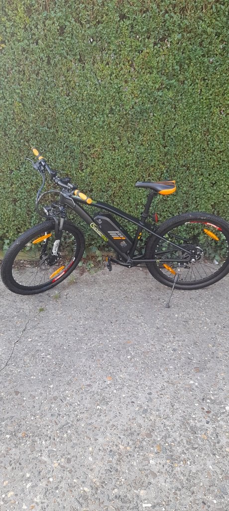 Elektrische mountainbike sachsenrad, Fietsen en Brommers, Ophalen, Zo goed als nieuw, Dames, Overige merken