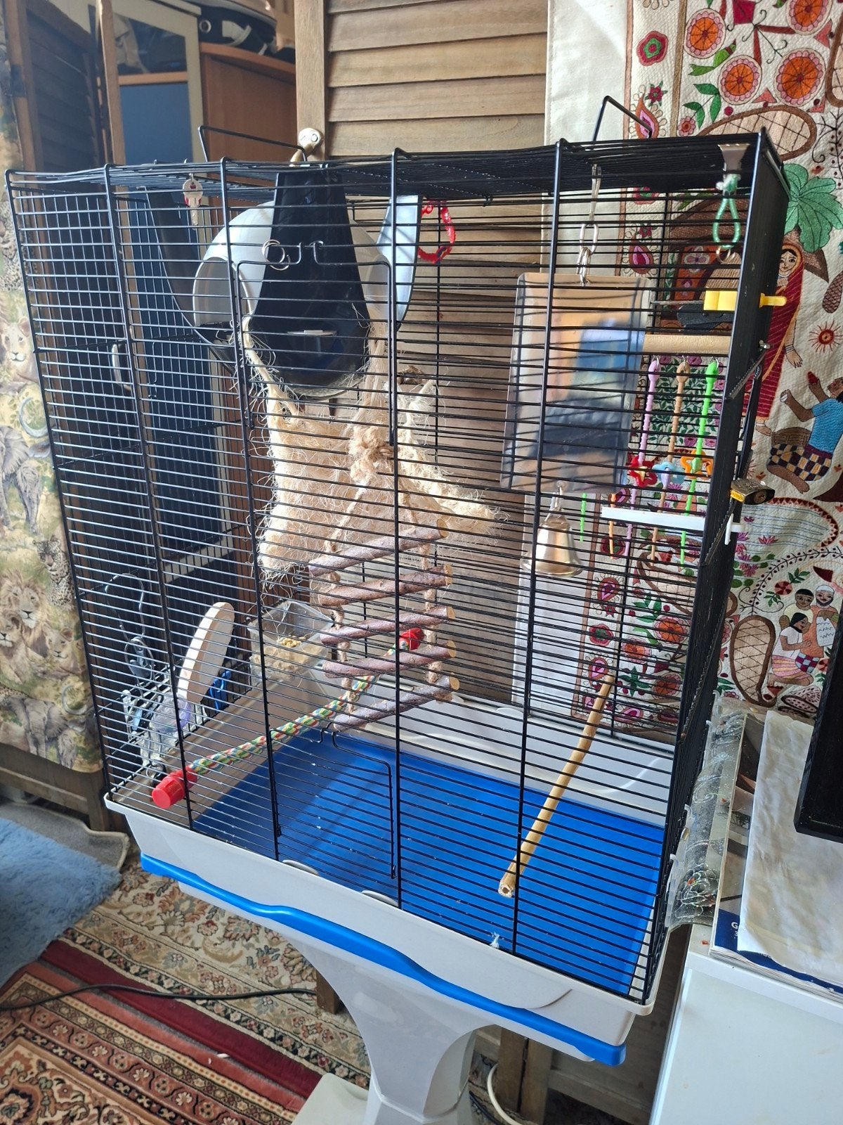 Cage oiseaux, Animaux & Accessoires, Oiseaux | Cages & Volières, Enlèvement
