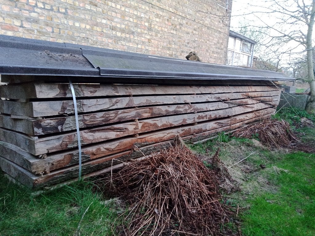 boomstam planken beuk, esdoorn,  tulip, notelaar, Bricolage & Construction, Neuf, 50 mm ou plus, Planche, 300 cm ou plus