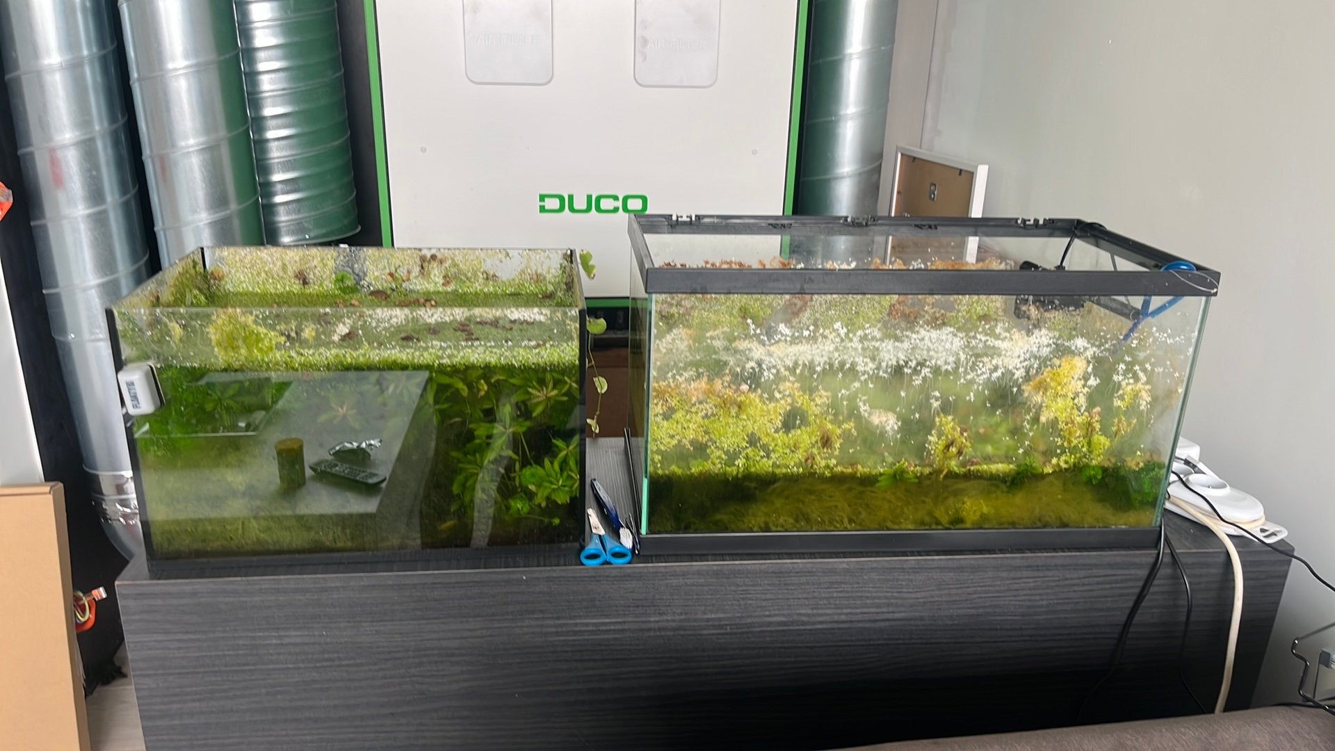 Aquarium gratuit, Enlèvement, Comme neuf
