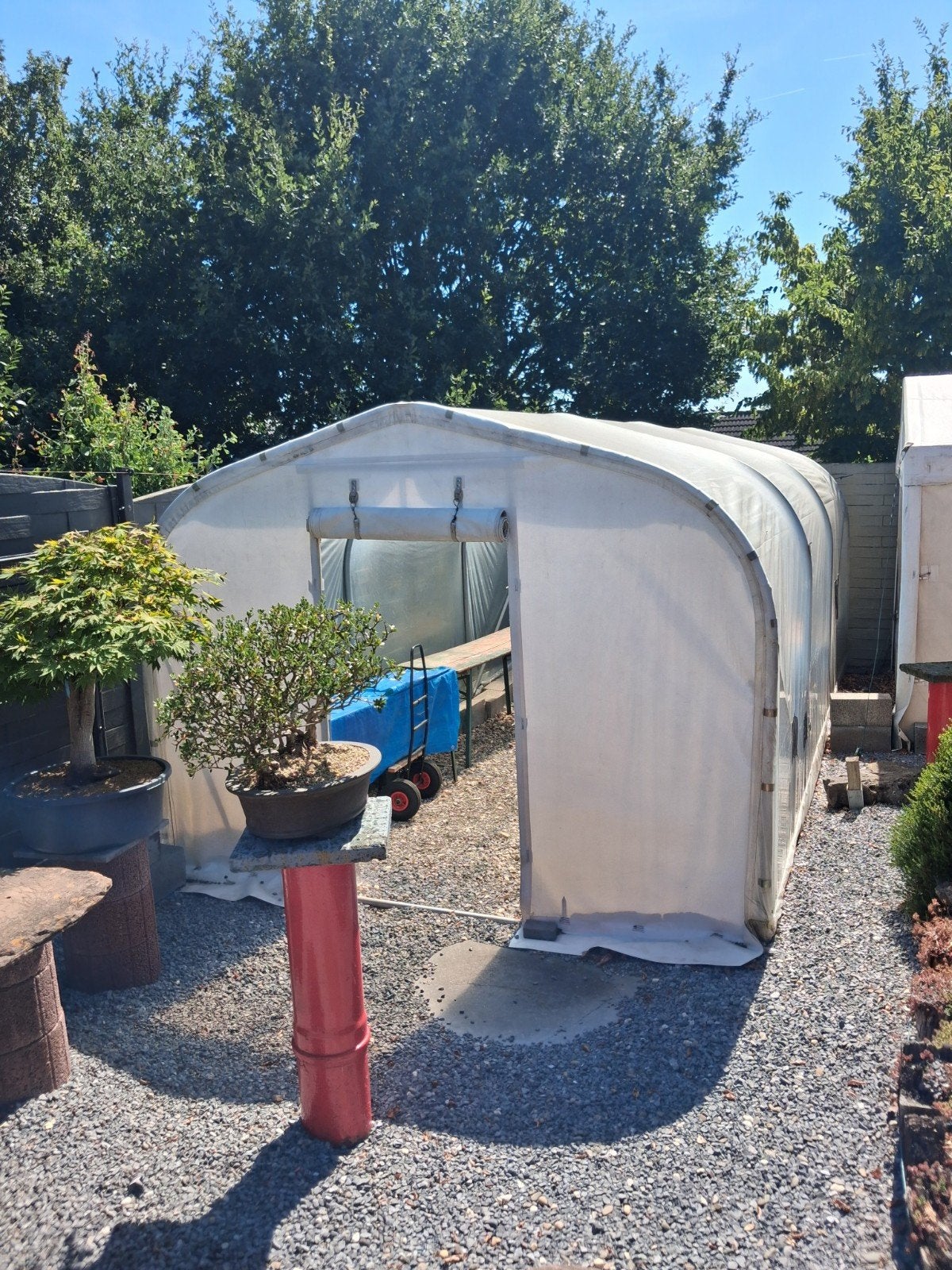 serre, Kweekkas