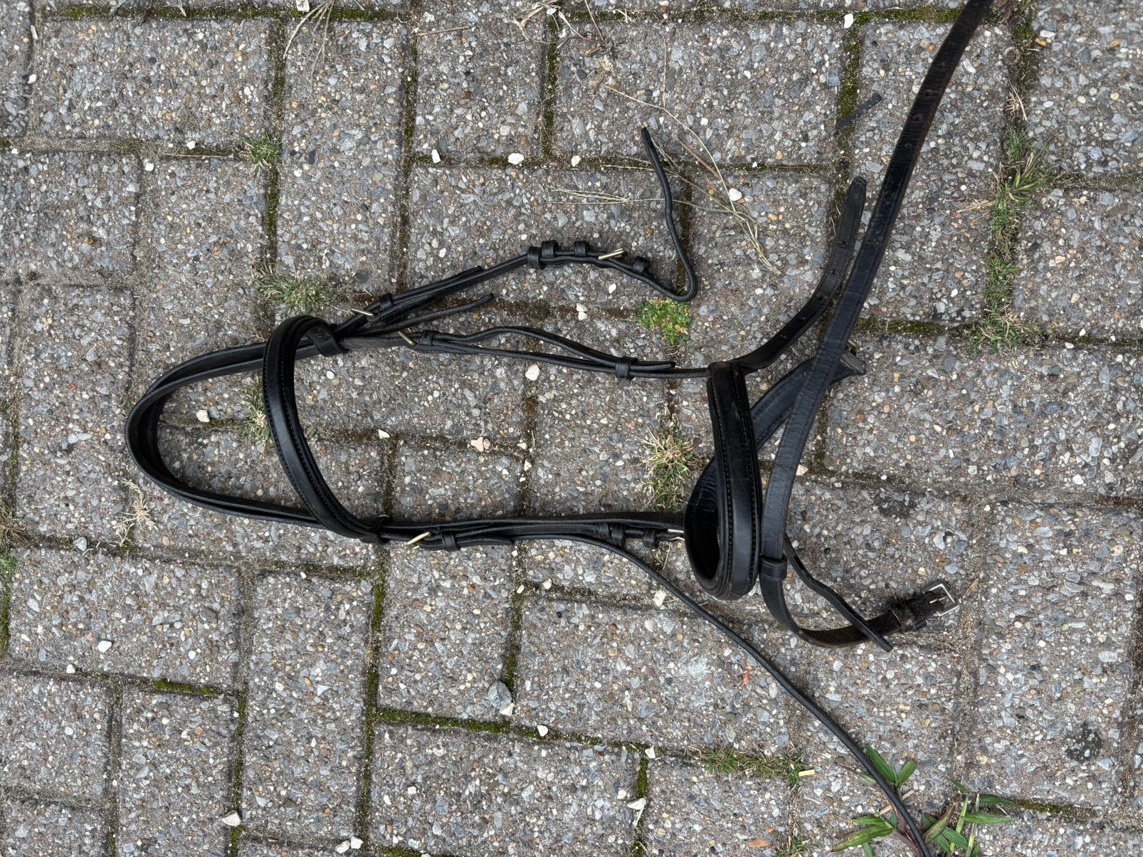 Hoofdstel paard, Dieren en Toebehoren, Ophalen, Gebruikt, Hoofdstel