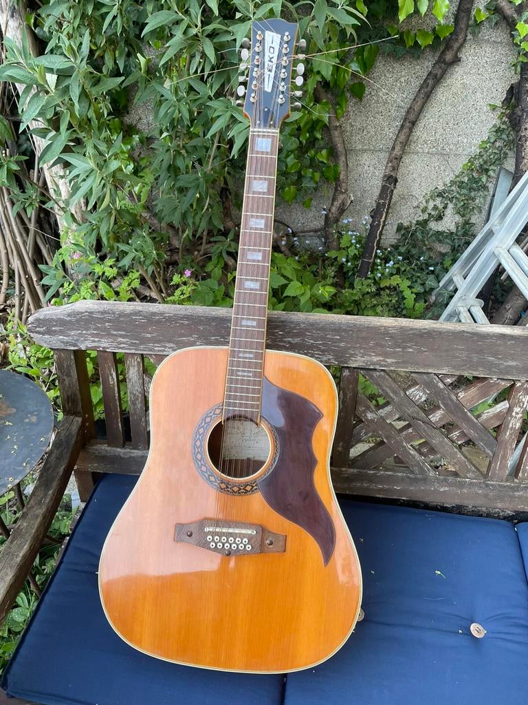 vintage (60's - 70's) EKO ranger XII 12 string, Ophalen, Gebruikt