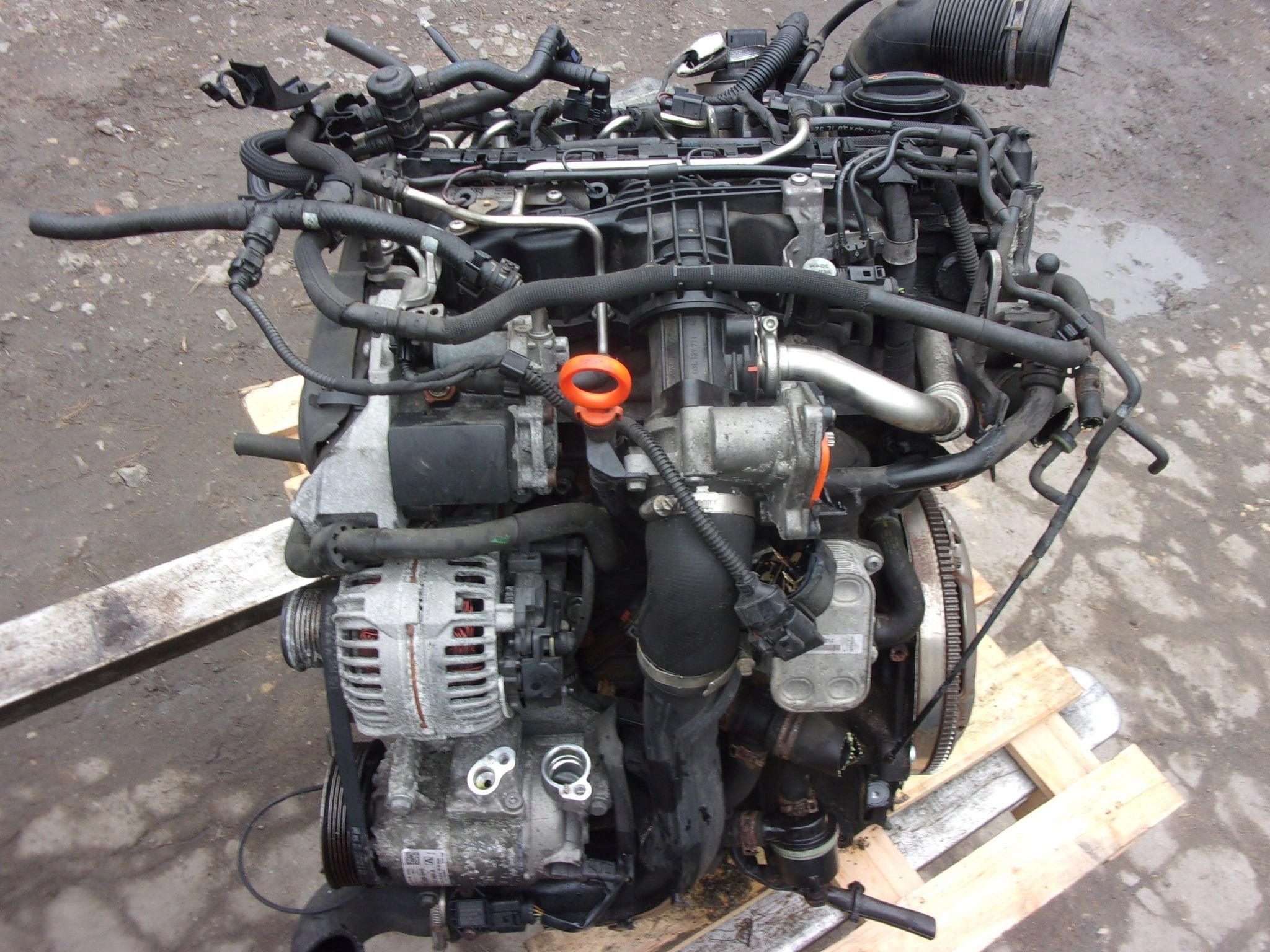 Moteur CAYA Complet BEETLE FABIA AUDI PASSAT A1 YETI LEON, Auto-onderdelen, Motor en Toebehoren, Alfa Romeo, Amerikaanse onderdelen