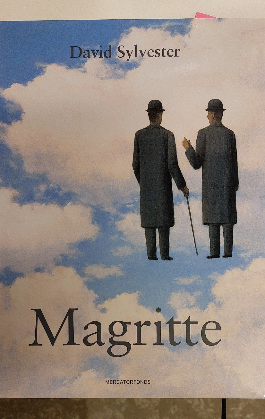 Boek Magritte / David Sylvester / Mercatorfonds, Livres, Enlèvement