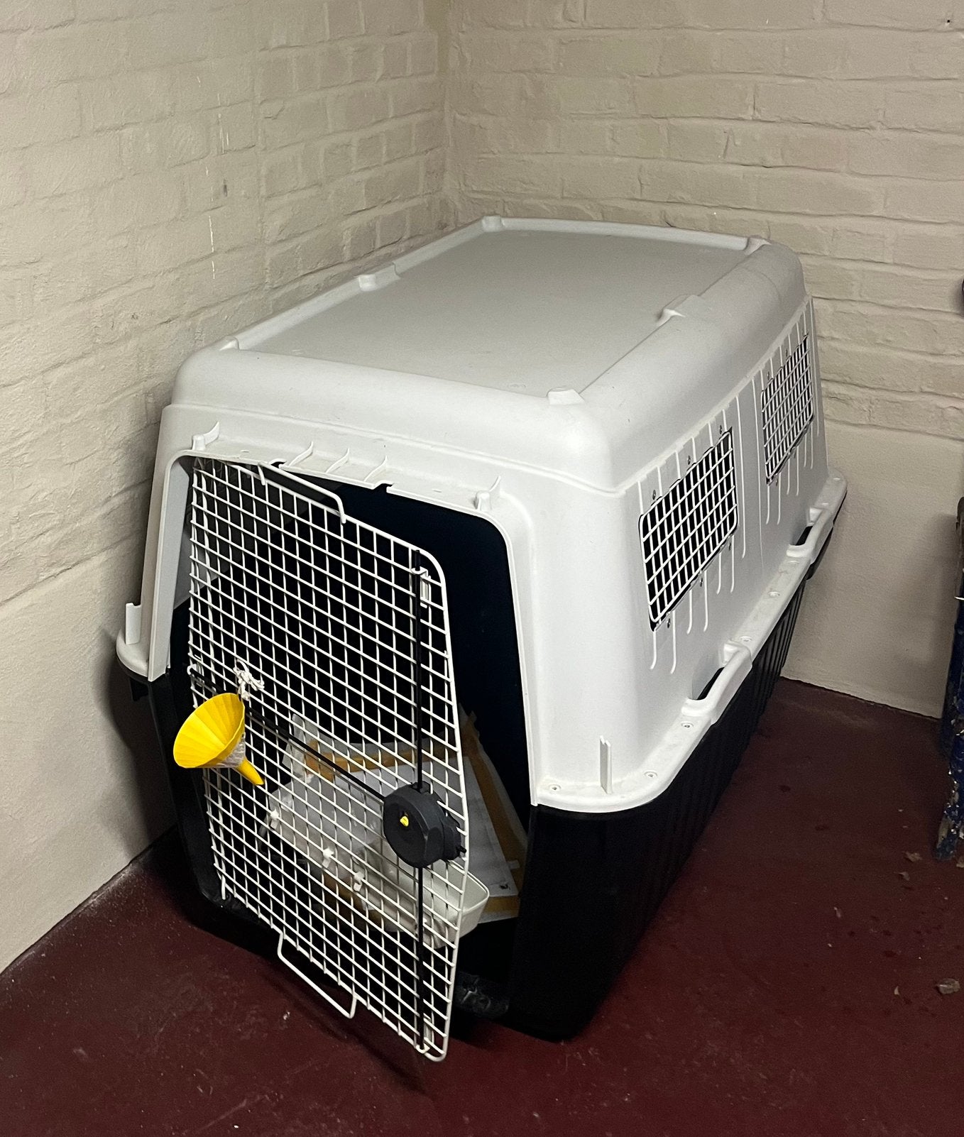 Cage de transport pour chien, Animaux & Accessoires, Caisses pour chiens, Comme neuf, Enlèvement
