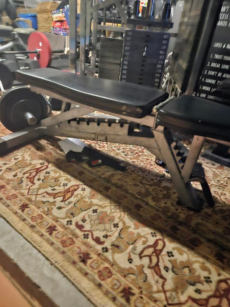Barbarian line bench, Sport en Fitness, Ophalen