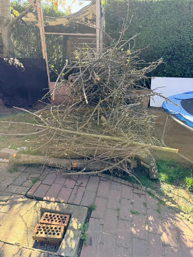 Gratis hout, Enlèvement, Comme neuf