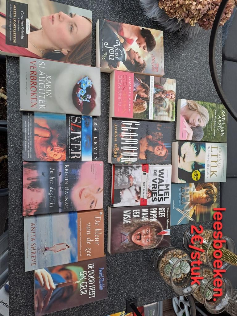 Leesboeken. Verschillende genres en schrijvers.  Prijs/ stuk, Boeken, Ophalen