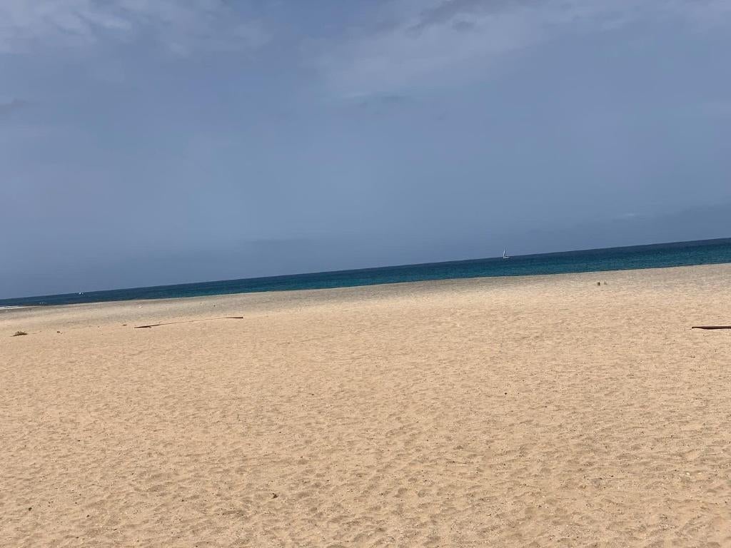 Bouwgrond te koop in centrum Wichelen