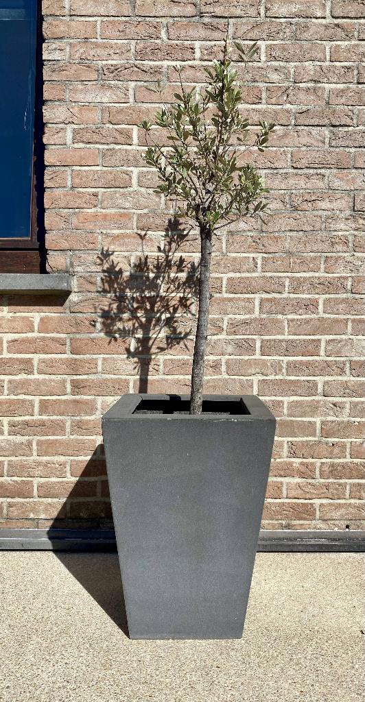 blauwe stenen bloempot, Ophalen, Zo goed als nieuw, Steen, Balkon