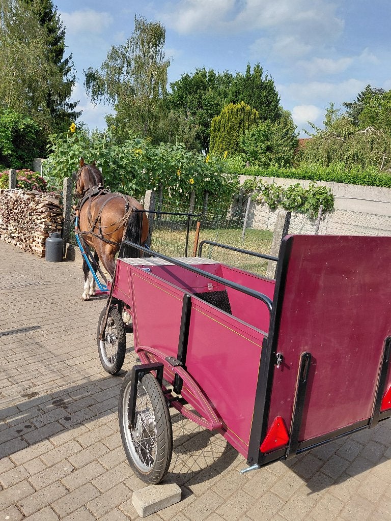 Transport en fauteuil roulant, Neuf, Autres types, Poney