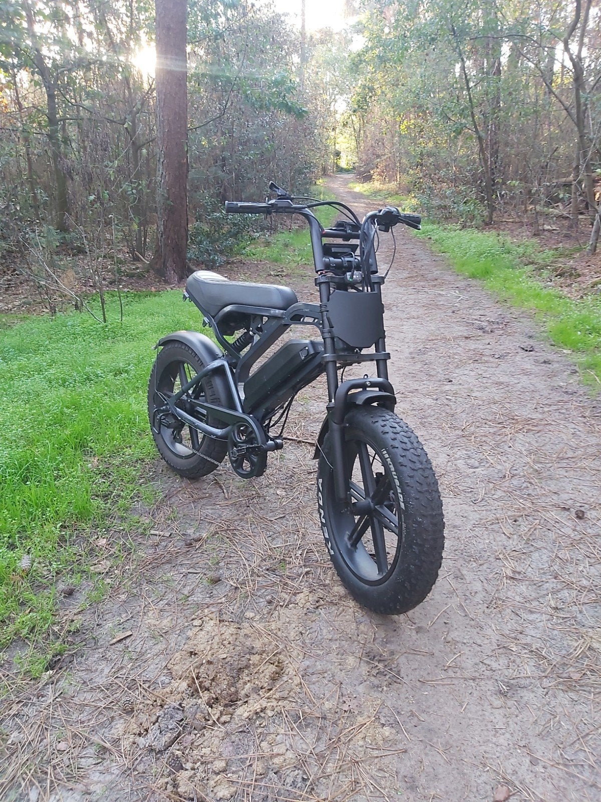 custom Fatbike V20 Pro, Fietsen en Brommers, Zo goed als nieuw, 59 cm of meer, 50 km per accu of meer, Ophalen