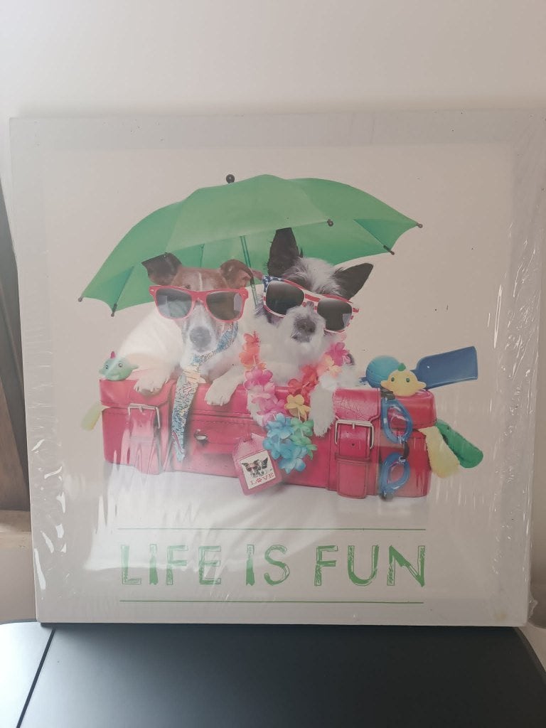 Toile, cadre "life is fun", Enlèvement ou Envoi, Neuf, Autres types