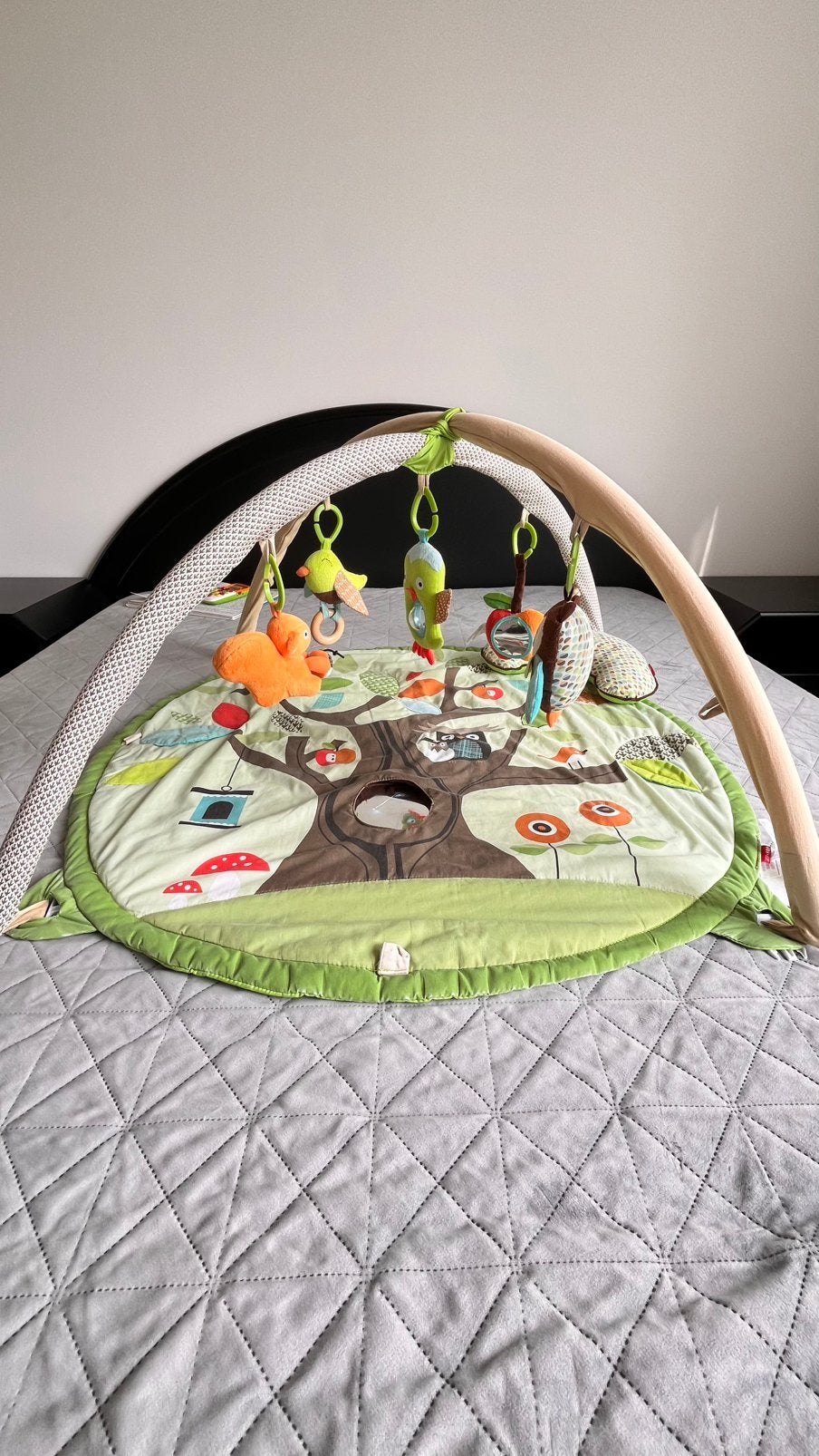 Skip Hop baby speelmat/Activity gym, Kinderen en Baby's, Ophalen of Verzenden, Zo goed als nieuw