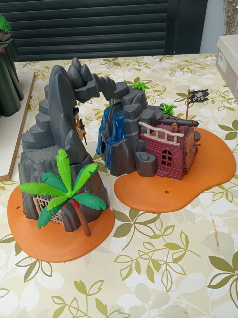 Lot Playmobil, Enlèvement