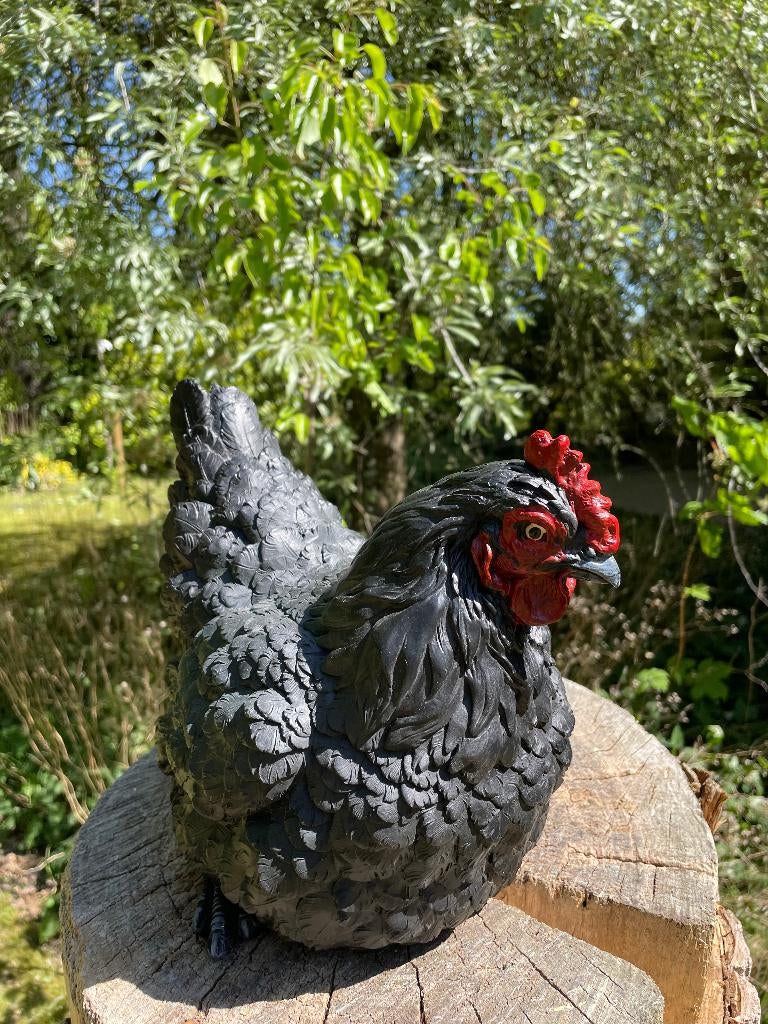 Image de poulet noir, jardin, étang, pelouse, ferme 30 cm, Enlèvement, Neuf, Synthétique, Animal