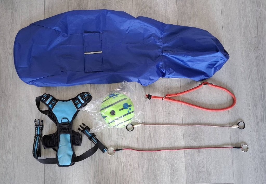 Hondenspullen – O.a. No-Pull Tuig, Regenjas & Speelgoed!, Dieren en Toebehoren, Overige merken, Ophalen, Zo goed als nieuw, Overige typen