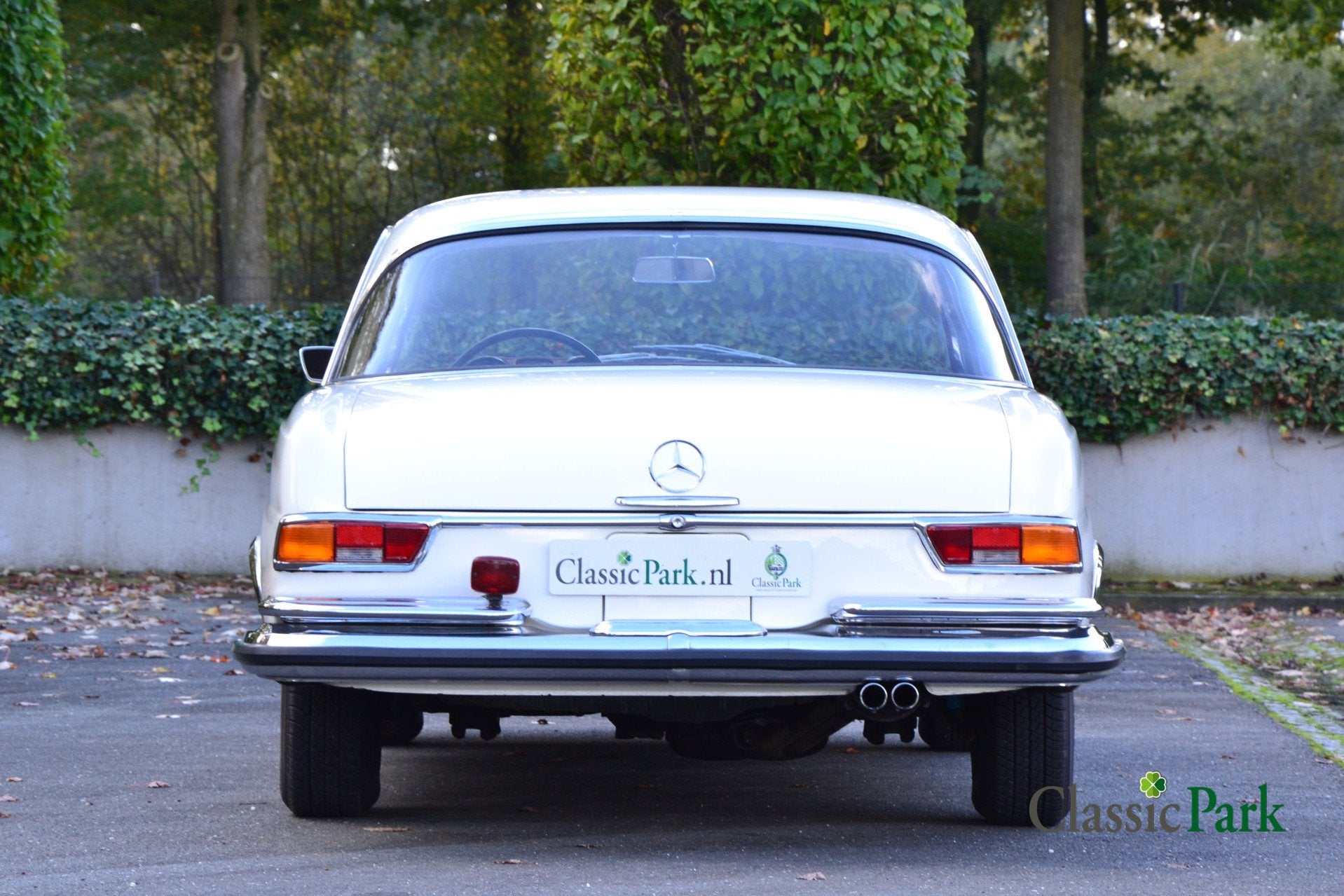 Mercedes-Benz 200-serie 250 SE Coupé (bj 1966, automaat), foto 4