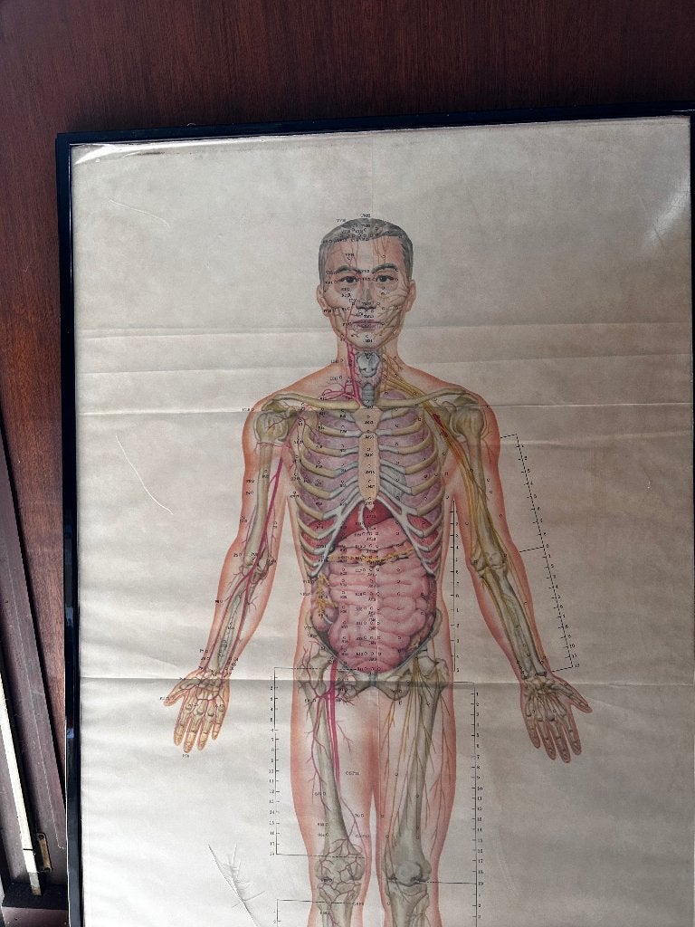 Poster, Ophalen, Rechthoekig Staand, Deurposter of groter, Zo goed als nieuw