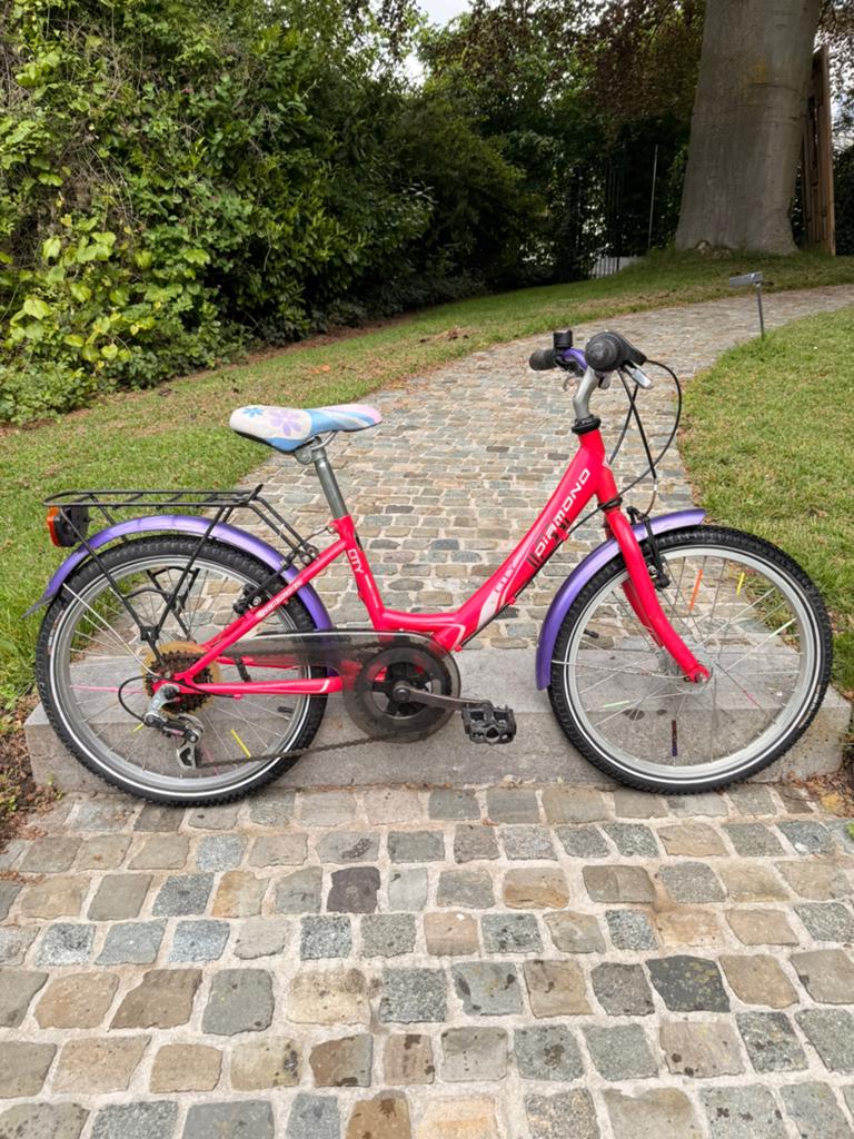 Kinderfiets 6-10 jaar - 20 inch - Diamond City, Ophalen, Gebruikt, Velgrem, Versnellingen