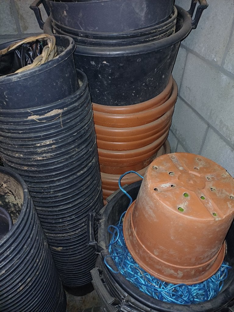 Pots de fleurs (ceinture), Jardin & Terrasse, Enlèvement
