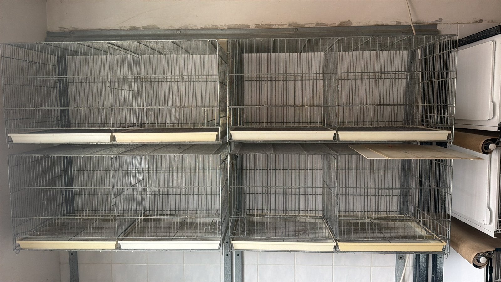 Cage d  elevage, Enlèvement