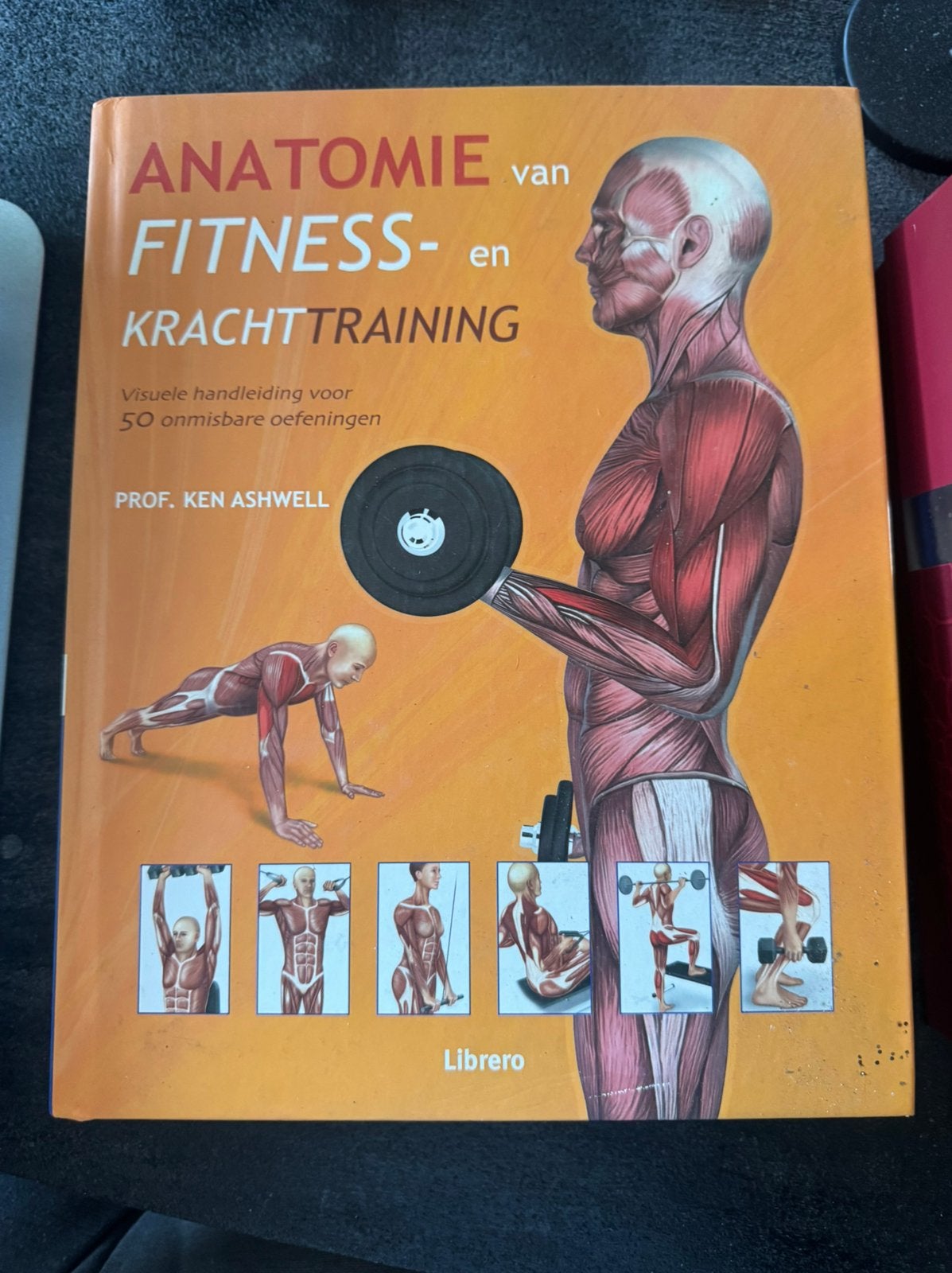 Ken Ashwell - Anatomie van fitness- en krachttraining, Boeken, Ophalen, Ken Ashwell, Fitness