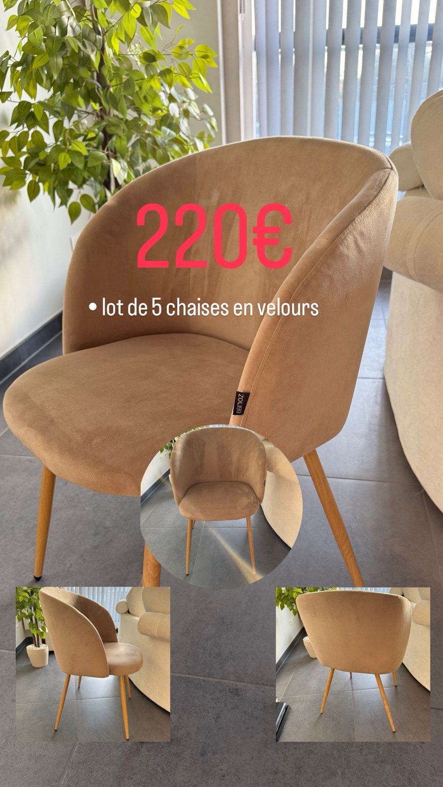 Chaisses en velours, Enlèvement, Comme neuf, Bois