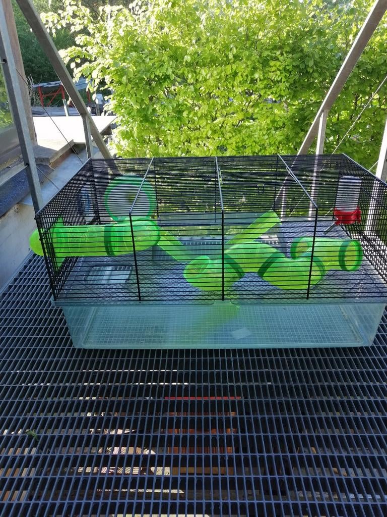 Cage pour hamsters, Enlèvement