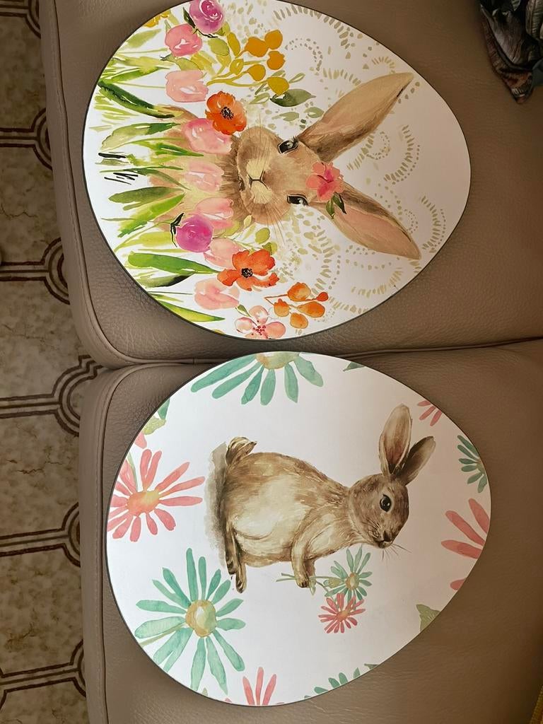 Twee   Nieuwe Borden  place mats  voor kinderen, Ophalen of Verzenden, Nieuw