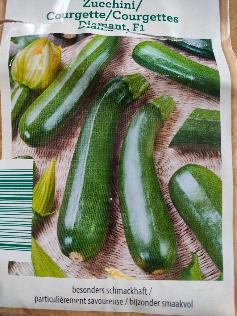 5 graines de courgettes Diamant F1 (ce qui reste de mon sac), Jardin & Terrasse, Envoi, Printemps, Graine
