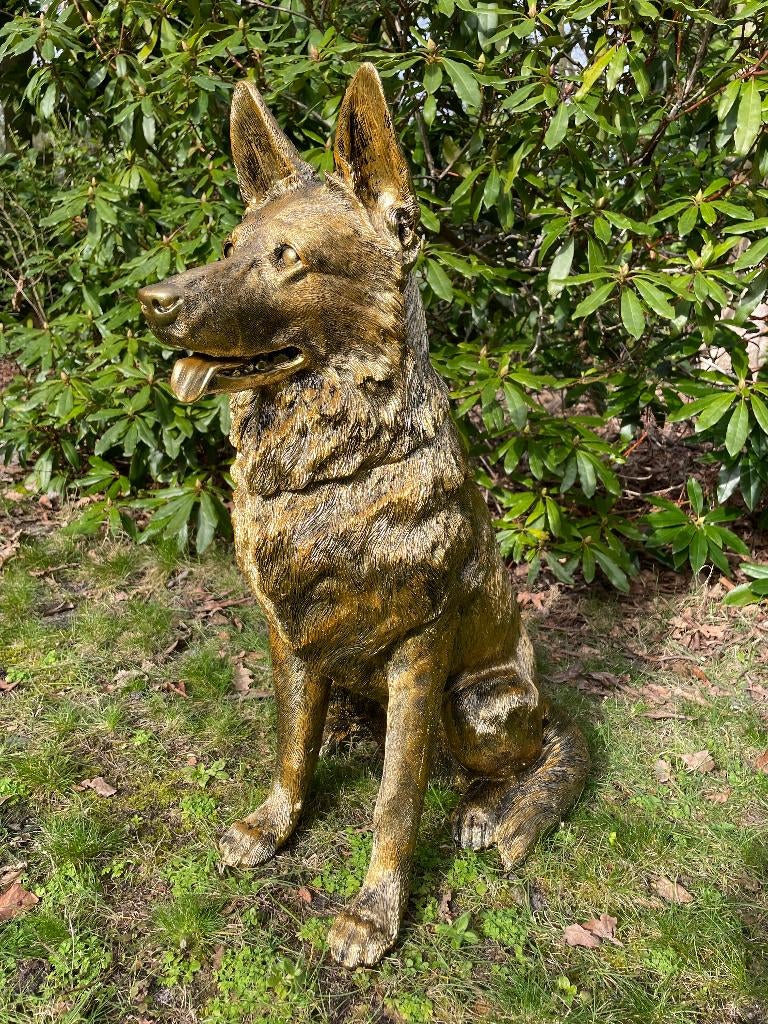 Statue de berger allemand, chien doré, jardin, bassin 75 cm, Enlèvement, Neuf, Synthétique, Animal