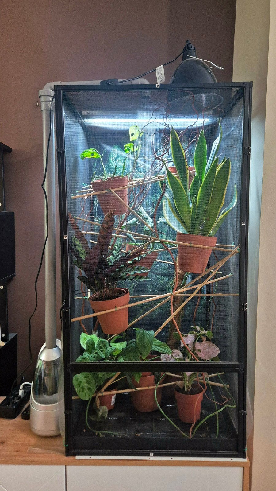 Terrarium met volledige set-up voor bv. kameleon, Ophalen, Terrarium of Paludarium