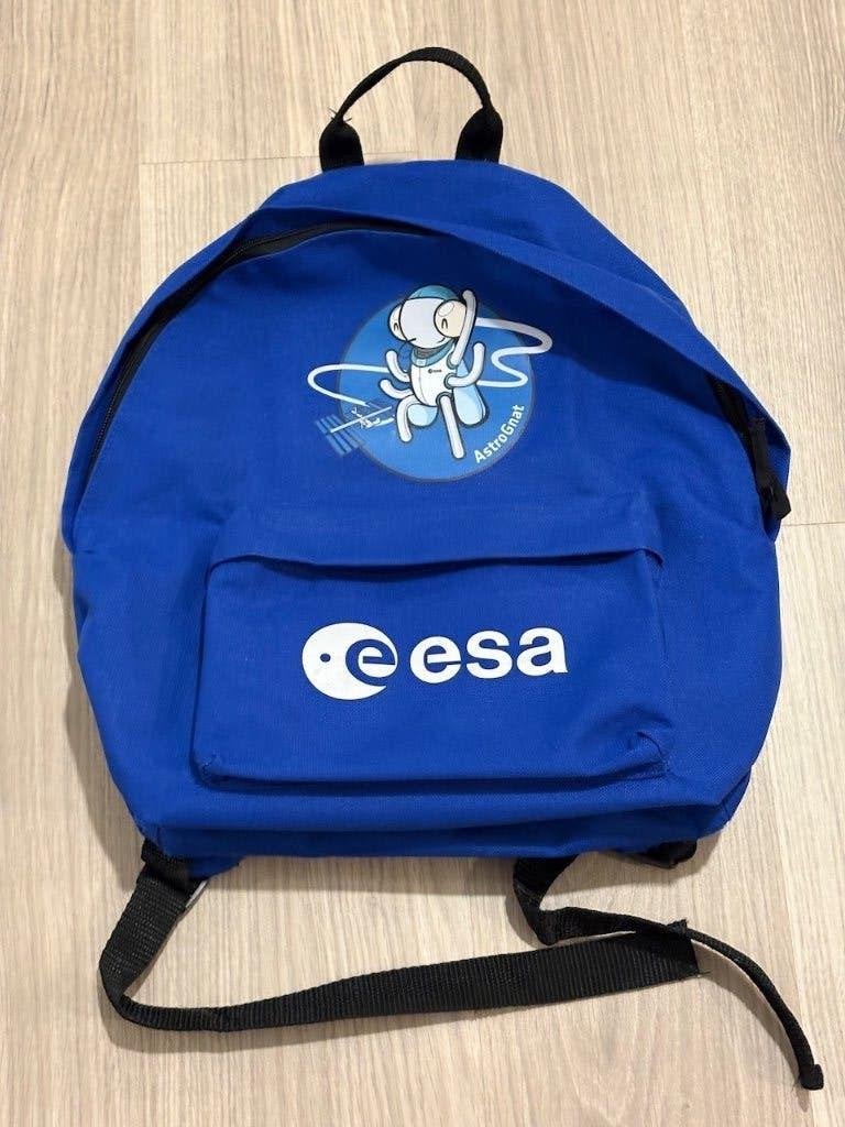 Sac à dos ESA Astronaut, Overige merken, Gebruikt, 25 tot 40 cm, Ophalen of Verzenden
