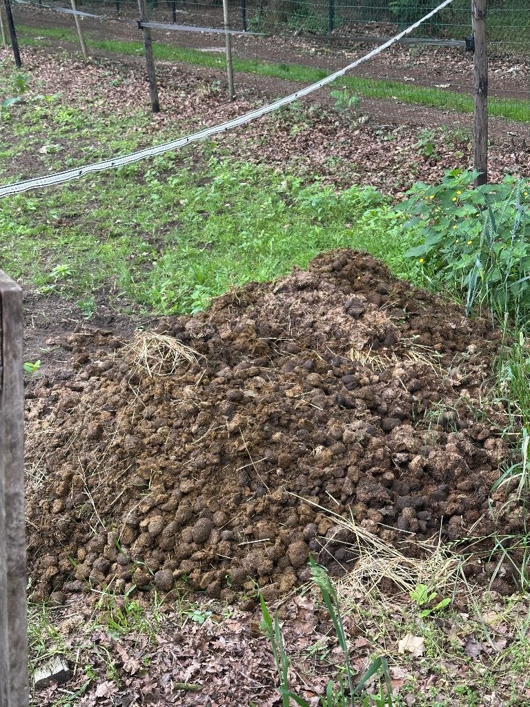 Paardenmest, Enlèvement, Fumier
