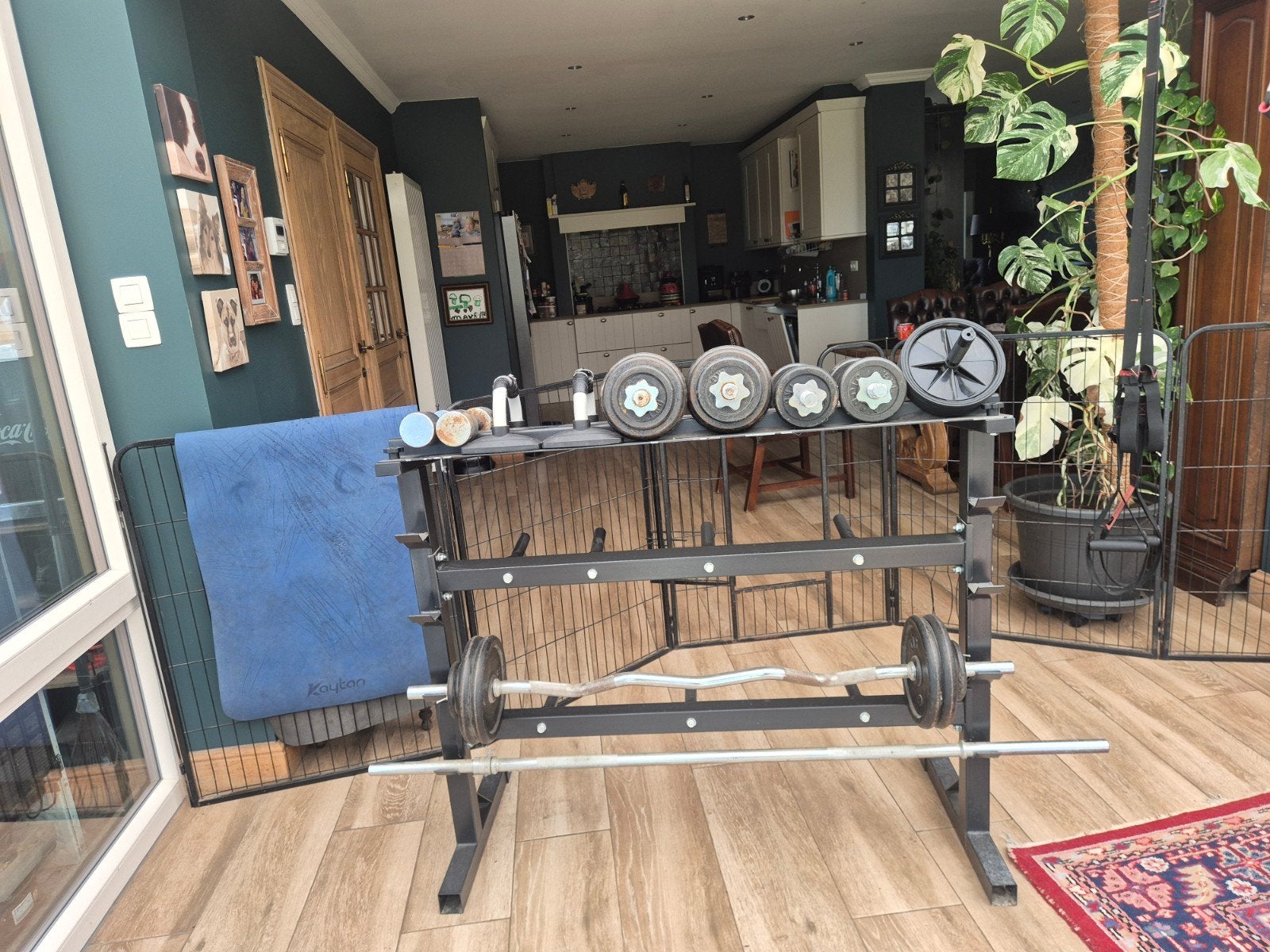 halter rek met halters/dumbels compleet, Sport en Fitness, Ophalen, Zo goed als nieuw