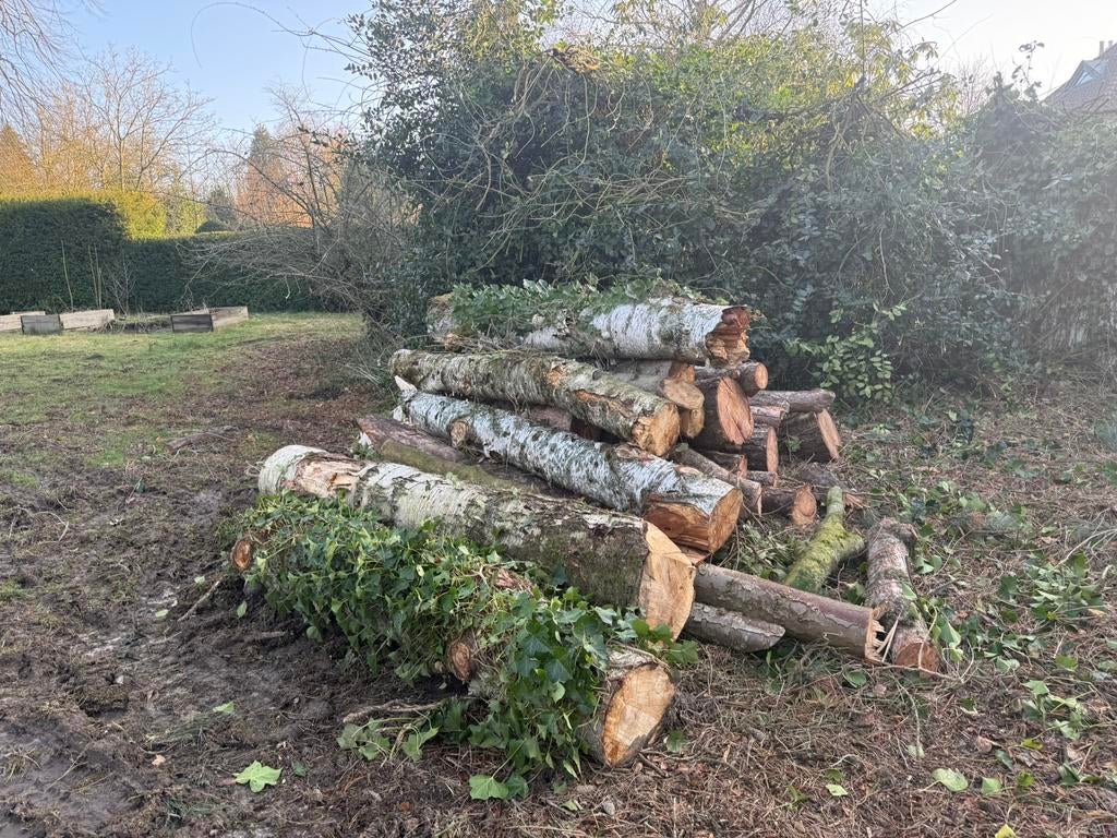 Tronc arbre sapin a venir chercher, Enlèvement