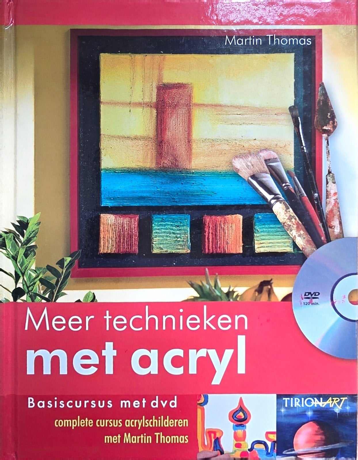 Leerboek acryl schilderen met DVD, Livres, Loisirs & Temps libre, Enlèvement