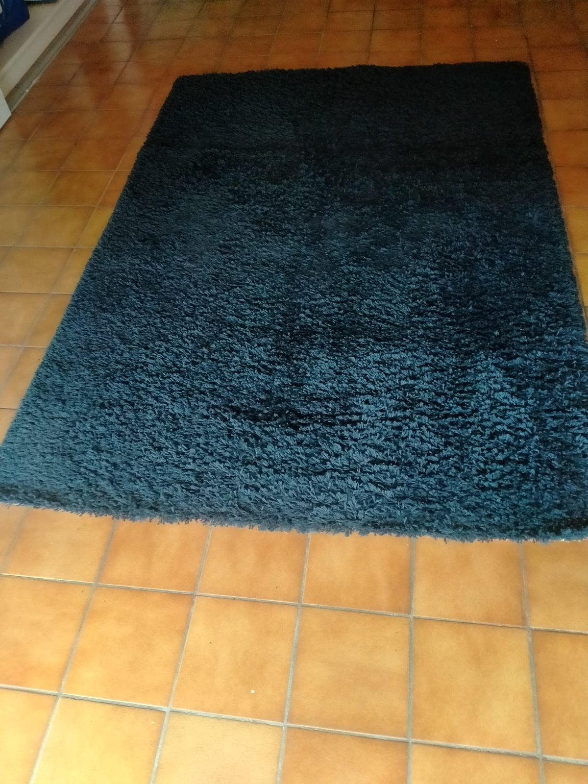 Donkerblauwe tapijt Ikea, Huis en Inrichting, Stoffering | Tapijten en Vloerkleden, Ophalen of Verzenden, Zo goed als nieuw