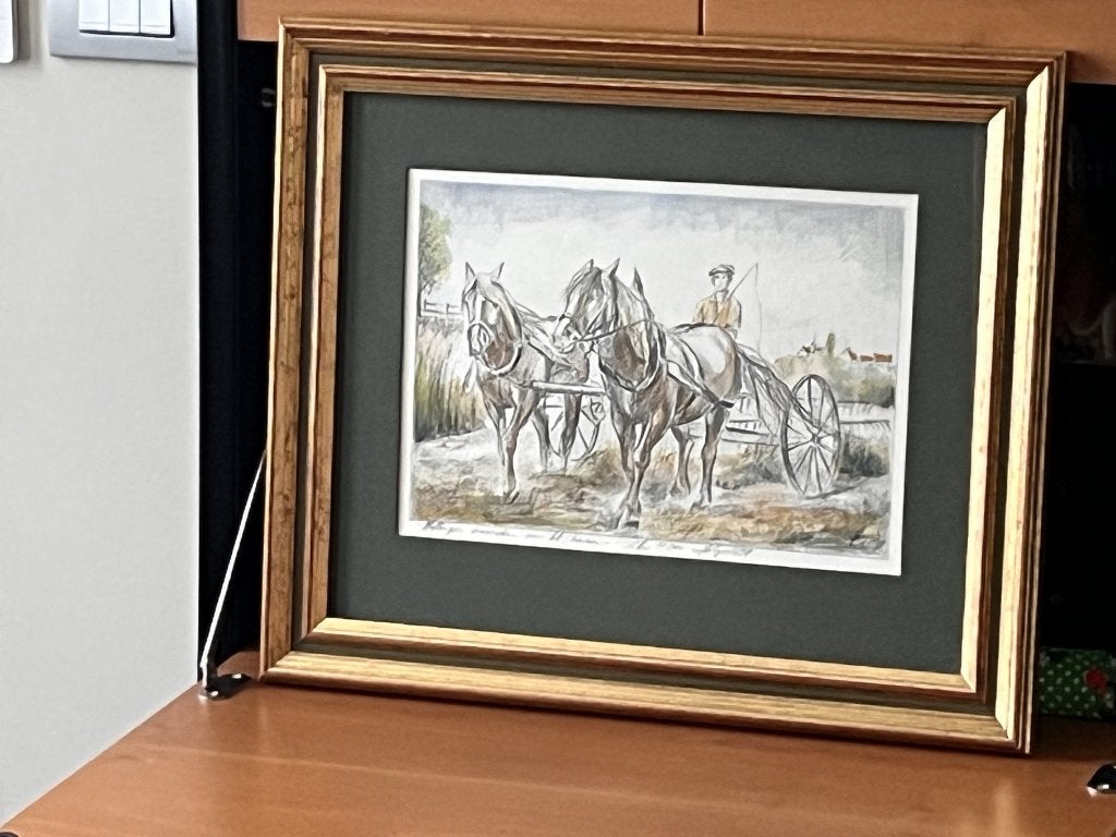 Johny De Witte - Lithographie originale - aquarelle -, Enlèvement ou Envoi, Aquarelle, Encadré, Animaux