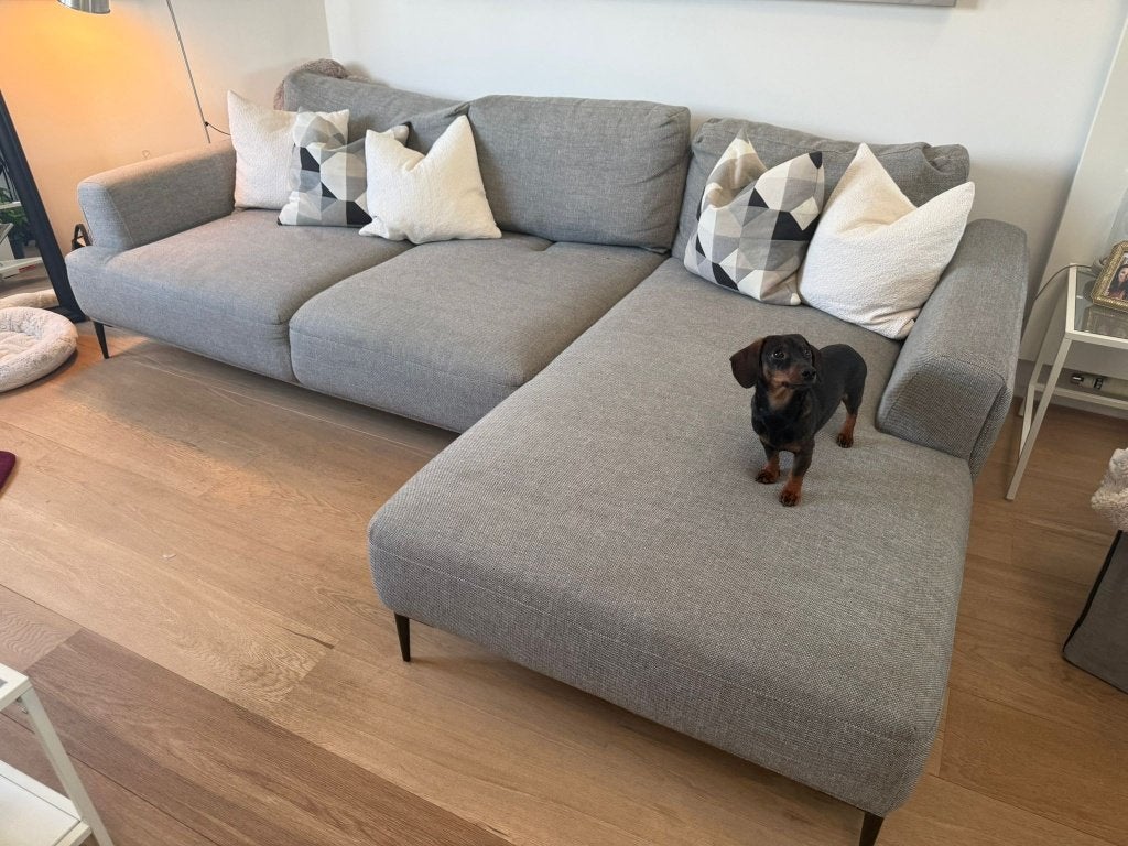 Canapé d’angle gris avec méridienne – 300 €, Maison & Meubles, Canapés | Salons, Utilisé, Banc d'angle, Quatre personnes ou plus