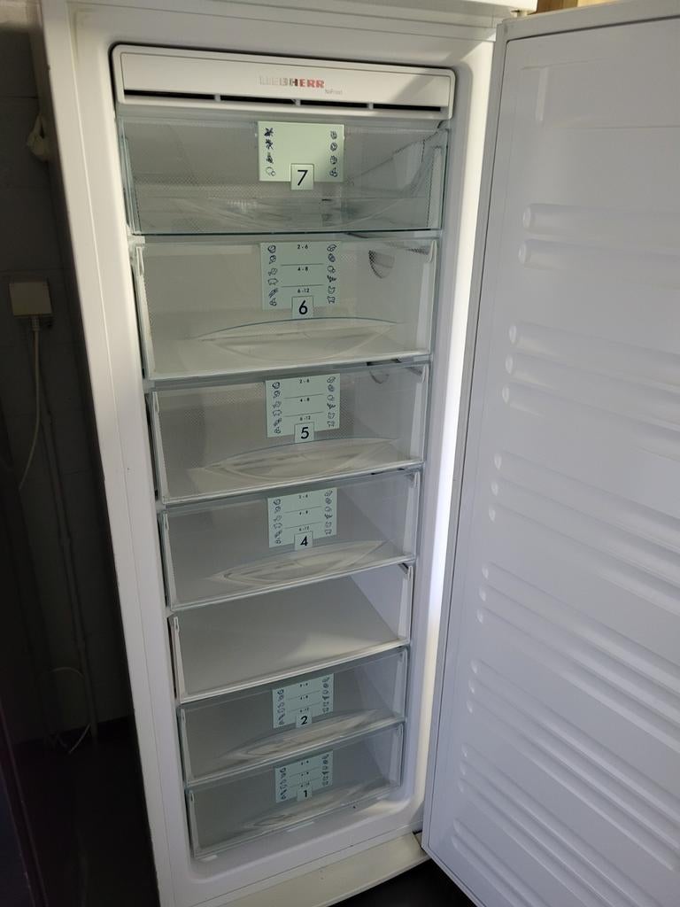 Lienherr diepvriezer, Enlèvement