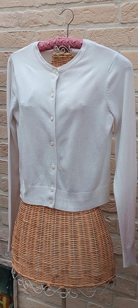 Vest maat s h &m, Enlèvement ou Envoi, Taille 36 (S), H &m, Comme neuf
