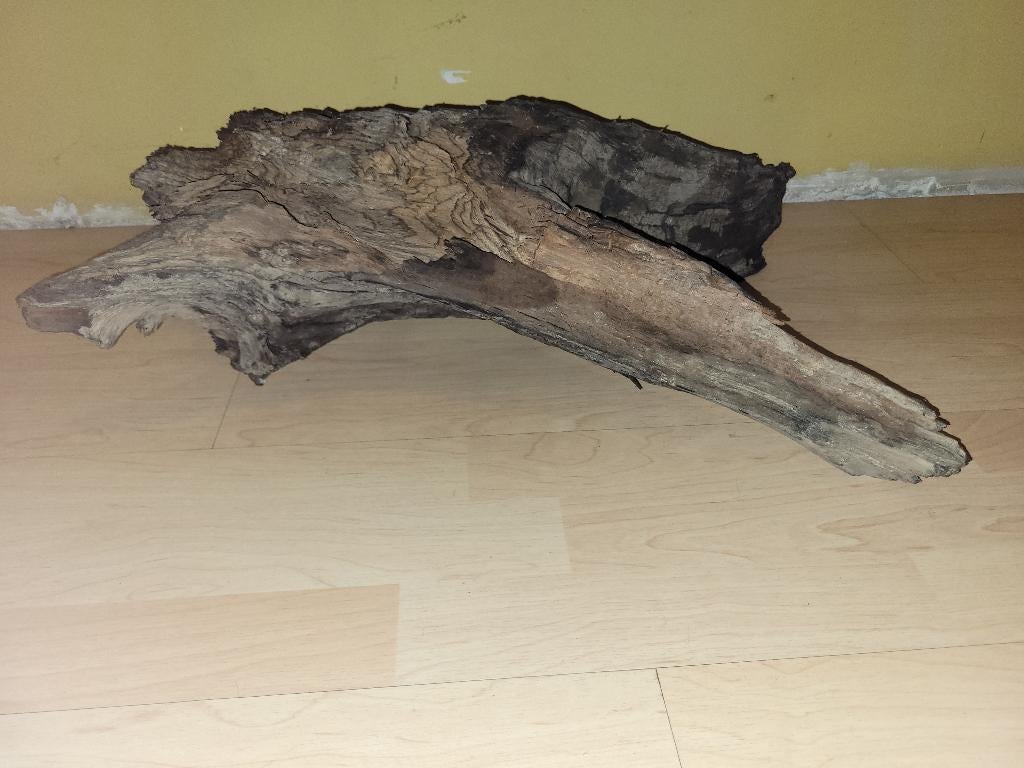 Hardhout terrarium, Animaux & Accessoires, Reptiles & Amphibiens, Amphibien, 0 à 2 ans