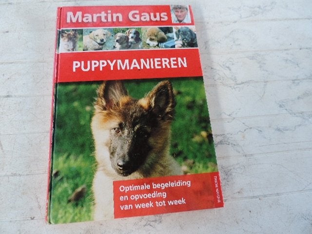 boek, Boeken, Ophalen of Verzenden, Gelezen, Martin gaus